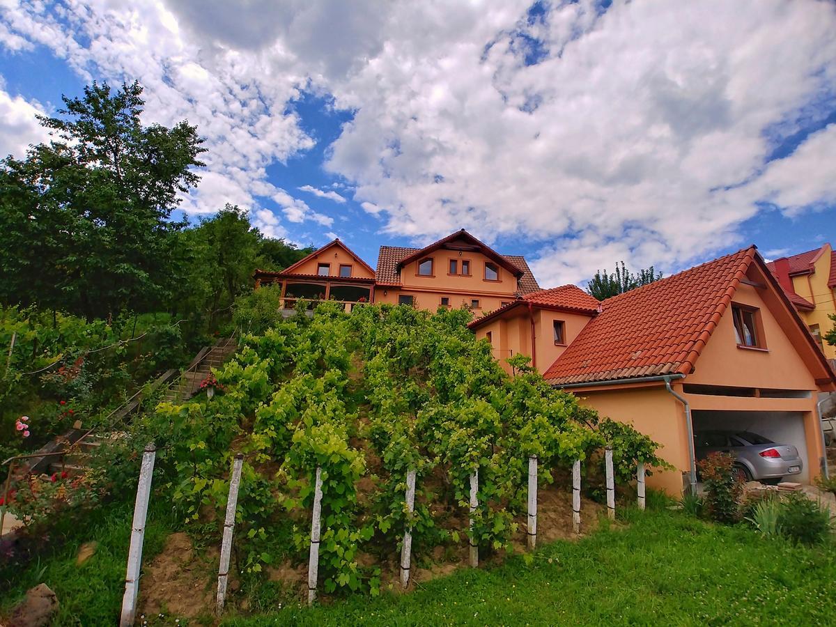 Hotel Casa Adam Sighişoara Exterior foto